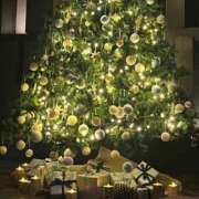 森嶋まりあ お礼⊹ ݁ ˖ MIRAI TOKYO 新宿店