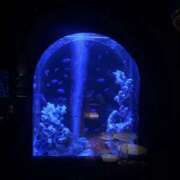 ヒメ日記 2025/09/23 22:14 投稿 なこ スピード梅田店