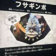 ヒメ日記 2025/10/29 21:27 投稿 なこ スピード梅田店