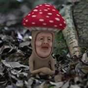 ヒメ日記 2025/11/26 02:03 投稿 なこ スピード梅田店