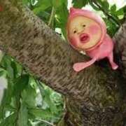 ヒメ日記 2025/11/27 03:14 投稿 なこ スピード梅田店