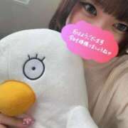 ヒメ日記 2025/10/11 13:48 投稿 ことの【シルバーアロー】 Arrows 苫小牧・千歳店