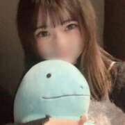 ヒメ日記 2026/04/01 12:48 投稿 ことの【シルバーアロー】 Arrows 苫小牧・千歳店