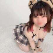 ヒメ日記 2026/04/11 17:38 投稿 ことの【シルバーアロー】 Arrows 苫小牧・千歳店