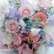 ヒメ日記 2025/08/31 21:00 投稿 ゆあ 素人妻達☆マイふぇらレディー