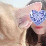 ヒメ日記 2025/10/28 10:00 投稿 ゆあ 素人妻達☆マイふぇらレディー