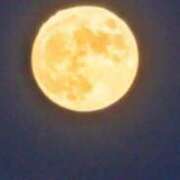 ヒメ日記 2025/11/05 11:00 投稿 ゆあ 素人妻達☆マイふぇらレディー