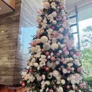 ヒメ日記 2025/12/21 21:25 投稿 みなみ ドマーニ