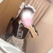 ヒメ日記 2026/02/24 13:30 投稿 みなみ ドマーニ