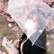 ヒメ日記 2026/03/28 20:03 投稿 みなみ ドマーニ