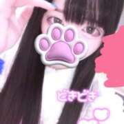 ヒメ日記 2025/09/28 23:19 投稿 ゆい 鶯谷スピン