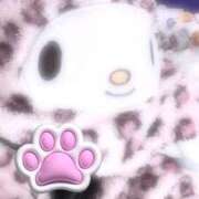 ヒメ日記 2025/10/15 04:30 投稿 ゆい 鶯谷スピン