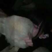 ヒメ日記 2025/11/05 01:29 投稿 ゆい 鶯谷スピン