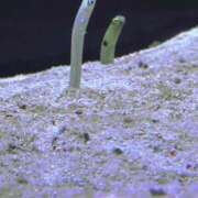 ヒメ日記 2025/09/03 18:15 投稿 もも ごほうびSPA横浜店