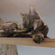 ヒメ日記 2025/09/14 22:38 投稿 もも ごほうびSPA横浜店