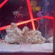 ヒメ日記 2025/09/15 23:54 投稿 もも ごほうびSPA横浜店