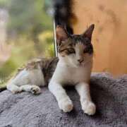 ヒメ日記 2025/09/25 15:34 投稿 もも ごほうびSPA横浜店