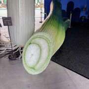 もも ねぎ ごほうびSPA横浜店