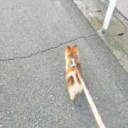 ヒメ日記 2025/08/30 06:22 投稿 ほたる オペラ(吉原)