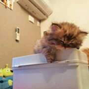 ヒメ日記 2025/09/07 15:22 投稿 ほたる オペラ(吉原)