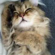 ヒメ日記 2025/09/17 13:32 投稿 ほたる オペラ(吉原)