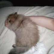 ヒメ日記 2025/09/30 04:22 投稿 ほたる オペラ(吉原)