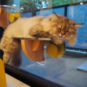 ヒメ日記 2025/10/07 00:42 投稿 ほたる オペラ(吉原)