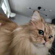 ヒメ日記 2025/10/19 11:42 投稿 ほたる オペラ(吉原)