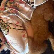 ヒメ日記 2025/11/15 23:58 投稿 かなで いざ候 別館