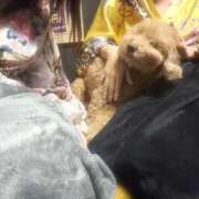 ヒメ日記 2025/12/06 22:34 投稿 かなで いざ候 別館