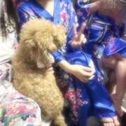 ヒメ日記 2025/12/09 23:45 投稿 かなで いざ候 別館