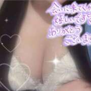 ヒメ日記 2025/08/26 09:30 投稿 あんじゅ 横浜ひよこ倶楽部