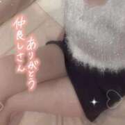 ヒメ日記 2025/09/04 14:36 投稿 あんじゅ 横浜ひよこ倶楽部