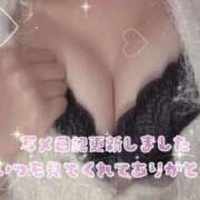 ヒメ日記 2025/10/17 09:19 投稿 あんじゅ 横浜ひよこ倶楽部