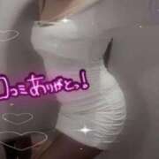 ヒメ日記 2025/10/25 09:38 投稿 あんじゅ 横浜ひよこ倶楽部