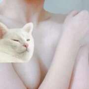 まな ⸜🌷︎⸝‍ お久しぶりです One More 奥様　西船橋店