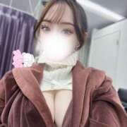 なのは どんぶらこっこ🍑 プロフィール 京都店