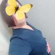 ヒメ日記 2025/12/11 15:12 投稿 はなの 熟女家 豊中蛍池店