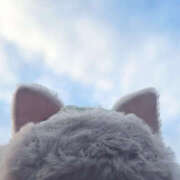 ヒメ日記 2025/10/12 05:27 投稿 あきは ハピネス東京