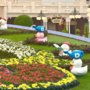 ヒメ日記 2025/10/17 05:07 投稿 あきは ハピネス東京