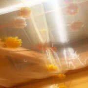 ヒメ日記 2025/11/15 05:37 投稿 あきは ハピネス東京