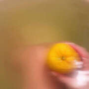 ヒメ日記 2025/12/23 14:37 投稿 あきは ハピネス東京