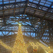 ヒメ日記 2025/12/25 10:39 投稿 あきは ハピネス東京