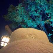 ヒメ日記 2026/01/12 05:27 投稿 あきは ハピネス東京