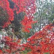 ヒメ日記 2026/02/07 05:40 投稿 あきは ハピネス東京