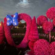 ヒメ日記 2026/02/24 10:38 投稿 あきは ハピネス東京