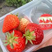 ヒメ日記 2026/03/31 10:43 投稿 あきは ハピネス東京