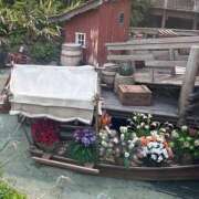 ヒメ日記 2026/06/14 05:47 投稿 あきは ハピネス東京