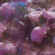 ヒメ日記 2026/07/13 05:47 投稿 あきは ハピネス東京