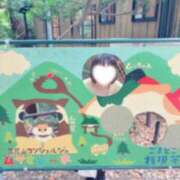 ヒメ日記 2025/11/14 20:28 投稿 めい 俺のKissリフレ